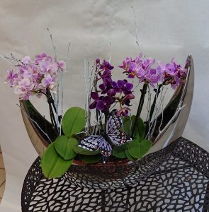 composition-orchidées