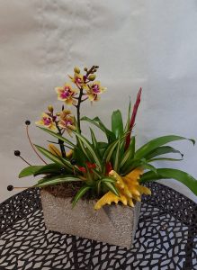 composition-estivale
