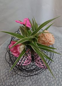 composition-rose