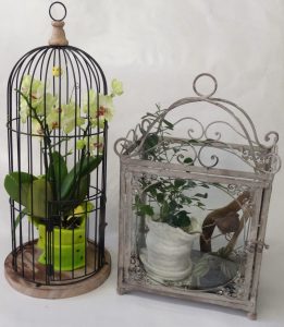 composition-cage